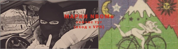 ПСИЛОЦИБИНОВЫЕ ГРИБЫ Абинск