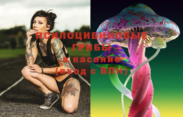 ПСИЛОЦИБИНОВЫЕ ГРИБЫ Абинск