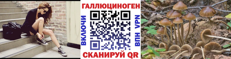 Псилоцибиновые грибы MAGIC MUSHROOMS  блэк спрут tor  Сурск 